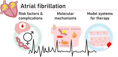 Editorial: Innovative Approaches to Tackle Atrial Fibrillation: From Bench to Bedside